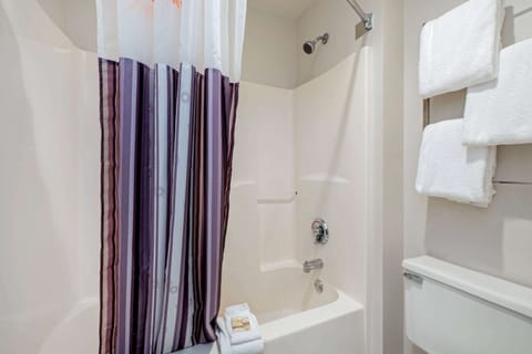 Combined shower/tub, free toiletries, hair dryer, towels