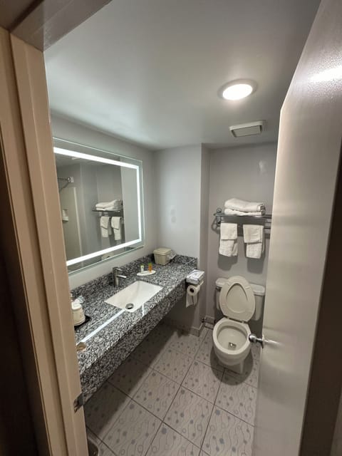 Combined shower/tub, free toiletries, hair dryer, towels