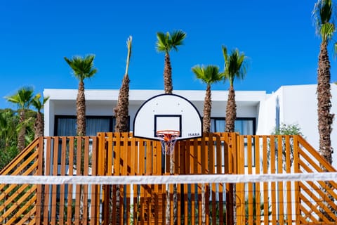 Basketball court