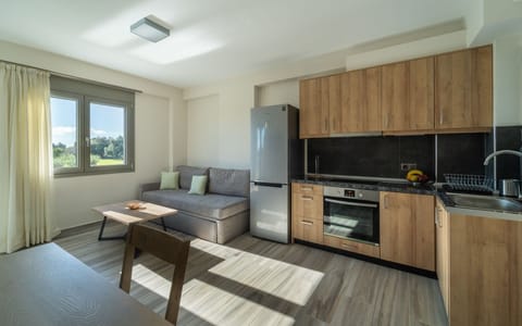 Deluxe Suite | Private kitchen | Full-size fridge, oven, stovetop, toaster