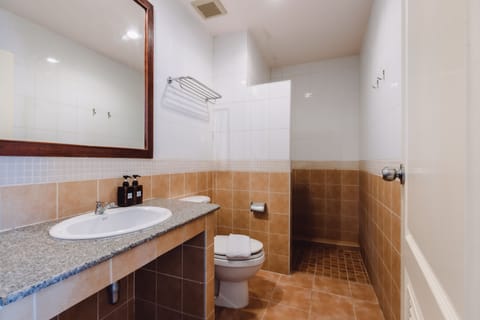 Superior Double Room | Bathroom | Shower, hair dryer, towels, soap