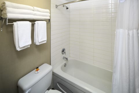 Combined shower/tub, free toiletries, hair dryer, towels