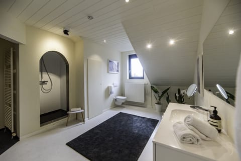 Comfort Double Room | Bathroom | Rainfall showerhead, free toiletries, towels