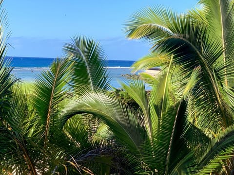 Beach/ocean view