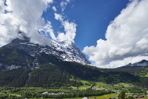 Suite Eiger View | Mountain view