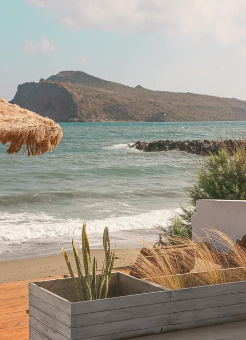 On the beach, sun loungers, beach umbrellas, beach towels