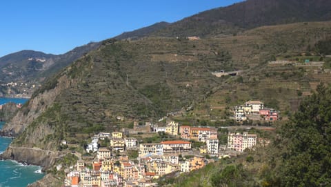 Train station shuttle