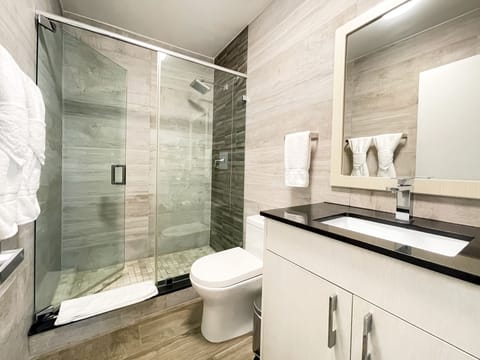 Deluxe Suite | Bathroom | Shower, designer toiletries, hair dryer, towels