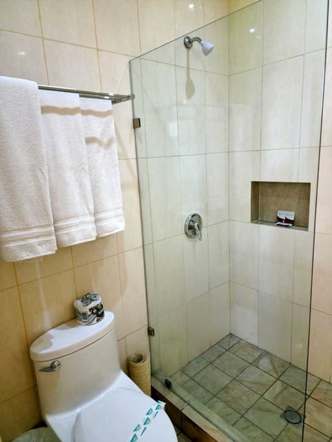 Deluxe Double Room | Bathroom | Shower, hair dryer, towels, soap