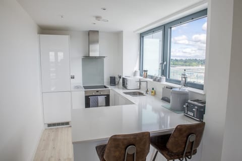 City Penthouse | Private kitchen | Full-size fridge, microwave, oven, stovetop