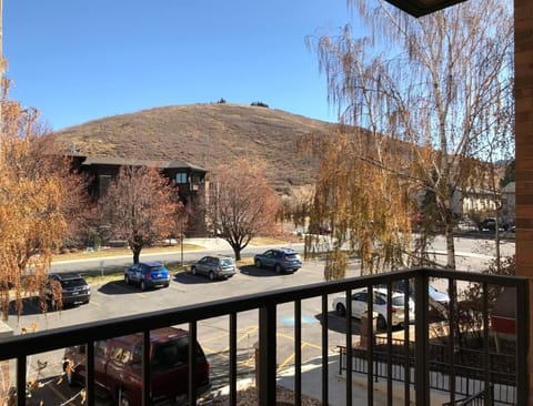 Condo, 1 Bedroom, Mountain View (CBI 205) | Terrace/patio