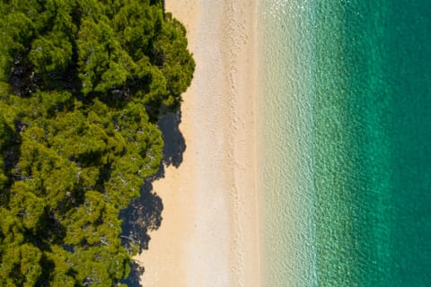 Beach nearby, beach towels, beach bar