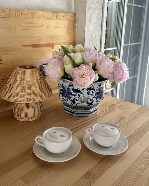 29-inch LCD TV with satellite channels, TV