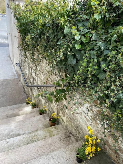 House | Property grounds