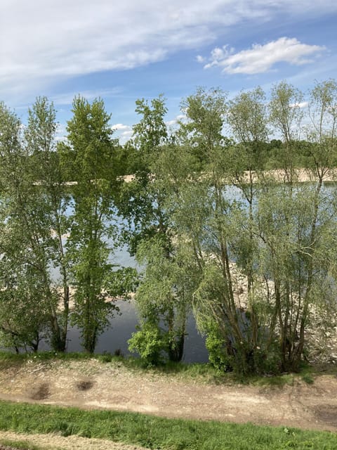 Egyptian cotton sheets, premium bedding, pillowtop beds, minibar