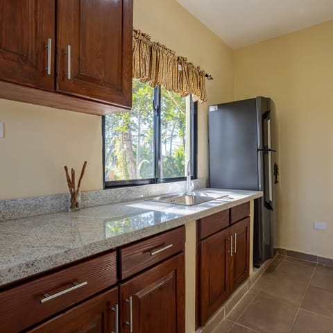 Deluxe Apartment | Private kitchen | Full-size fridge