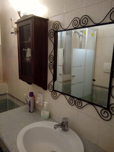 Hair dryer, bathrobes, bidet, towels