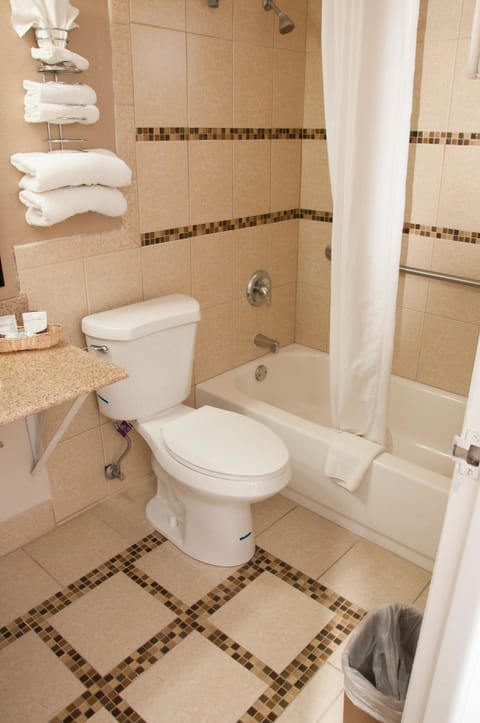 Combined shower/tub, free toiletries, hair dryer, towels