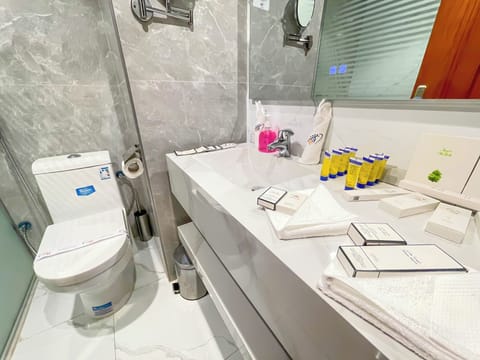 Combined shower/tub, free toiletries, hair dryer, towels