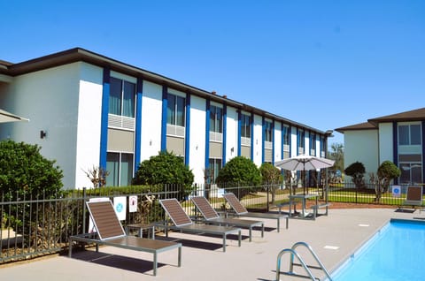 Outdoor pool, sun loungers