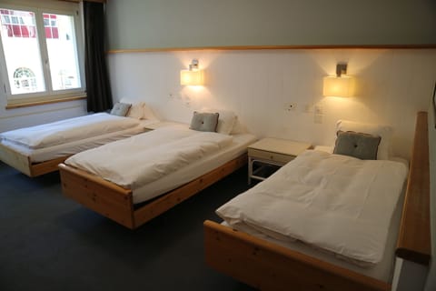 Triple Room | Hypo-allergenic bedding, down comforters, in-room safe