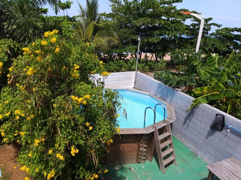 Studio, Ensuite (Studio Tortue imbriquée) | Outdoor pool