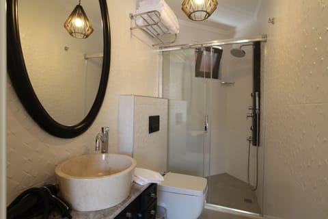 Deluxe Triple Room | Bathroom | Shower, free toiletries, hair dryer, bidet