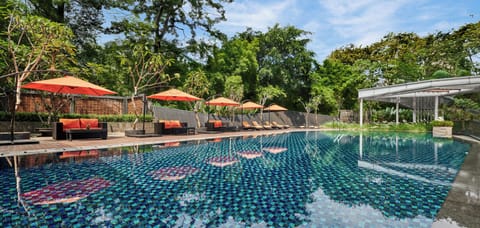 Outdoor pool, sun loungers