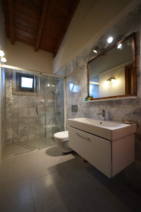 Deluxe Suite | Bathroom | Shower, rainfall showerhead, designer toiletries, hair dryer