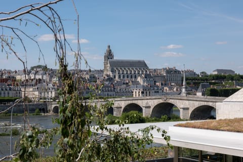 Deluxe Room with Loire View | Exterior