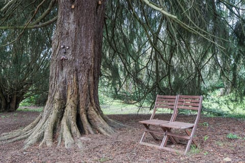 Cabin | Property grounds