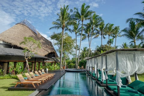 Outdoor pool, sun loungers