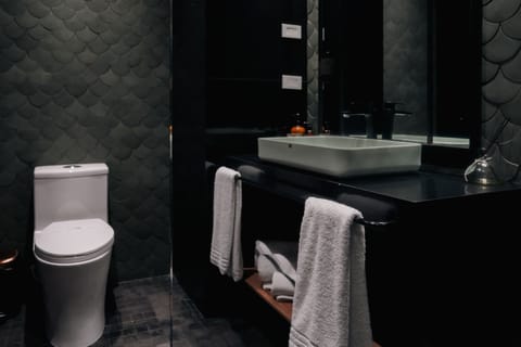 Family Suite | Bathroom | Shower, free toiletries, hair dryer, towels