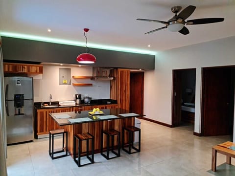 Standard Apartment | Private kitchen | Full-size fridge, microwave, stovetop, toaster