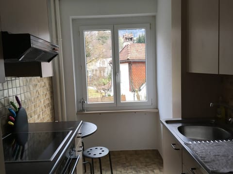 Apartment, 1 Bedroom, City View | Private kitchen