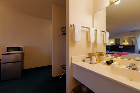 Premium Room, 1 King Bed, Jetted Tub | Bathroom | Free toiletries, hair dryer, towels