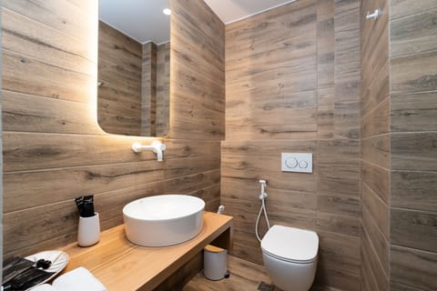 Comfort Room | Bathroom | Shower, rainfall showerhead, hair dryer, bathrobes