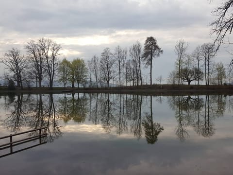 Apartment, 1 Bedroom, Terrace, Garden View | Property grounds