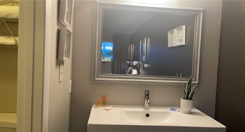 Deluxe Room, 1 Queen Bed | Bathroom | Shower, hair dryer, towels