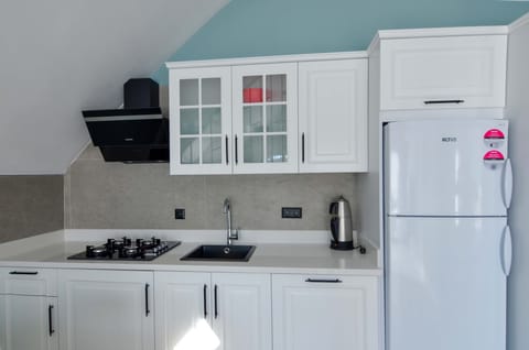 Family Quadruple Room | Private kitchen | Fridge, microwave, stovetop, dishwasher