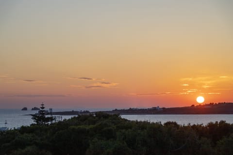 Panoramic Double Room | Terrace/patio