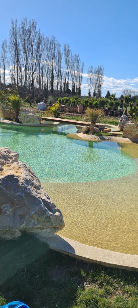 Seasonal outdoor pool, pool umbrellas, sun loungers