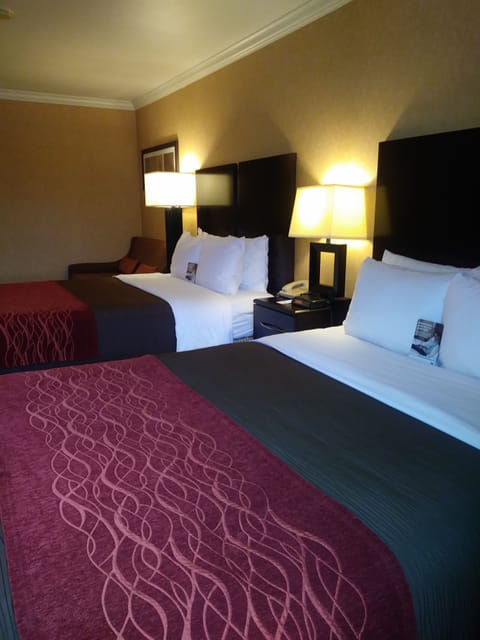 Desk, iron/ironing board, free cribs/infant beds, free WiFi