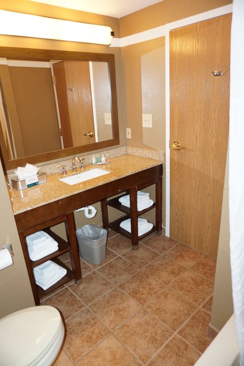 Combined shower/tub, free toiletries, hair dryer, towels