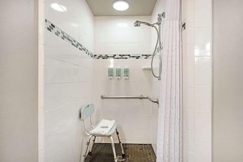 Standard Room, 1 King Bed, Accessible, Non Smoking | Bathroom | Combined shower/tub, free toiletries, hair dryer, towels