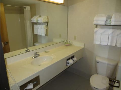 Combined shower/tub, free toiletries, hair dryer, towels