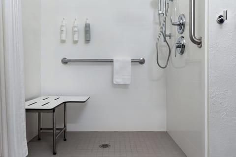 Room, 1 King Bed with Sofa bed, Accessible (Mobility & Roll-In Shower) | Bathroom | Combined shower/tub, spring water tub, free toiletries, hair dryer