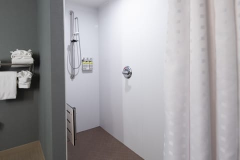 Standard Room, 1 King Bed, Accessible (Communication Accessible) | Bathroom | Combined shower/tub, hydromassage showerhead, eco-friendly toiletries