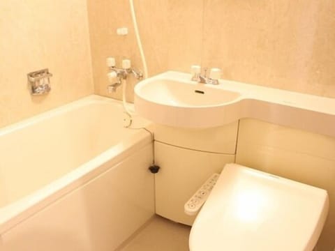 Combined shower/tub, hair dryer, slippers, electronic bidet