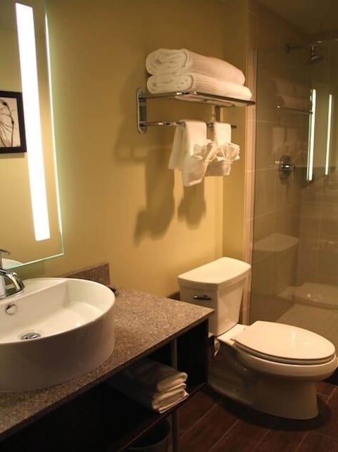 Classic Room, 1 King Bed | Bathroom | Shower, designer toiletries, hair dryer, bathrobes